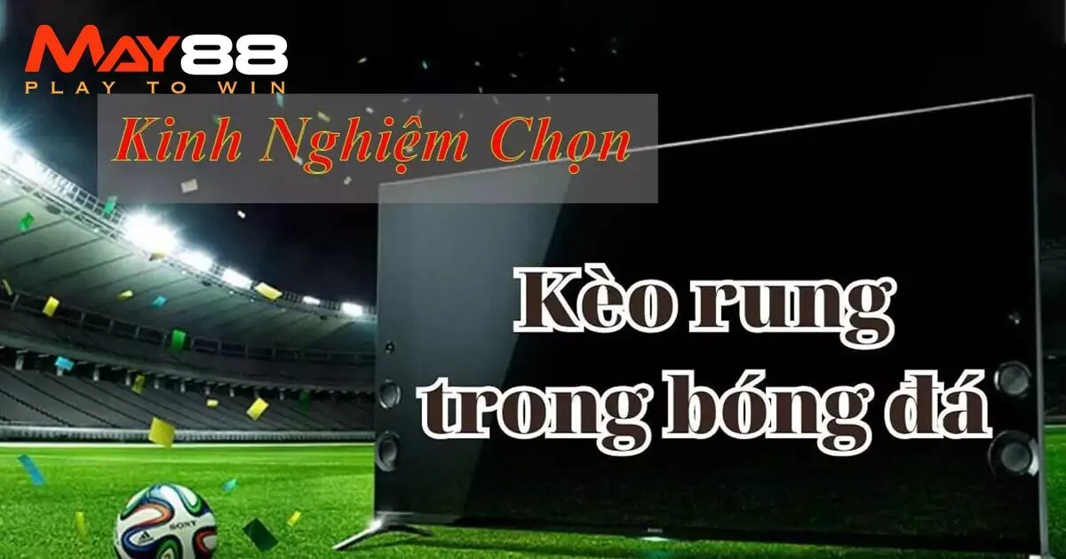 Hướng dẫn cách đánh kèo rung là gì tại May88